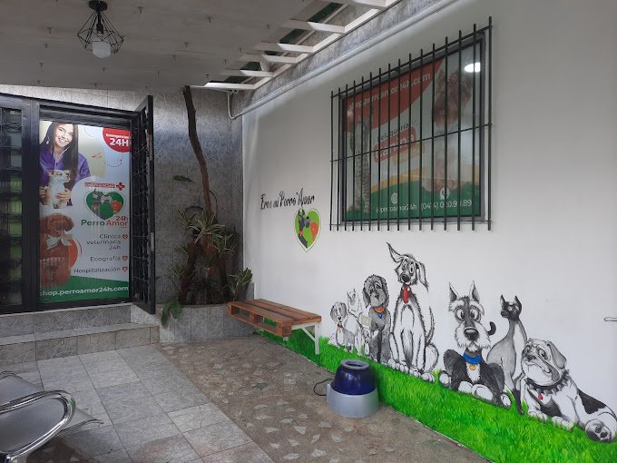 Fachada de Clinica Veterinaria Perro Amor 24 horas